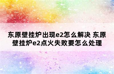 东原壁挂炉出现e2怎么解决 东原壁挂炉e2点火失败要怎么处理